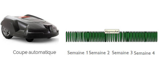 differences-coupes-tondeuses-automatiques02