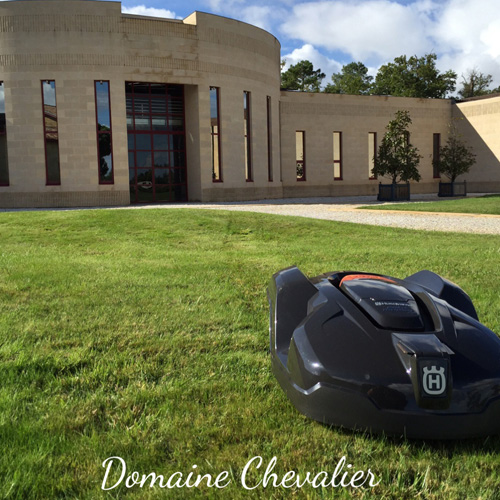 Réalisation Domaine Chevalier